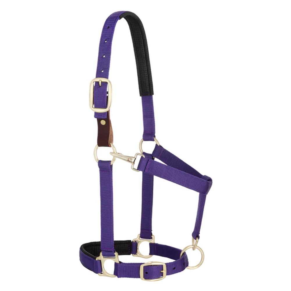 35-6075-PU Weaver Leather Padded Breakaway Adjustable Snap Halter - Solid Purple