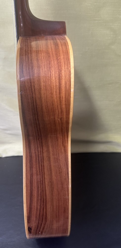 Giannini AWN60 Classical Guitar With Hard Case