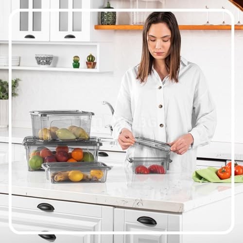 12.5 Quart Storage Bins with Lids, Plastic Storage Containers with Latching