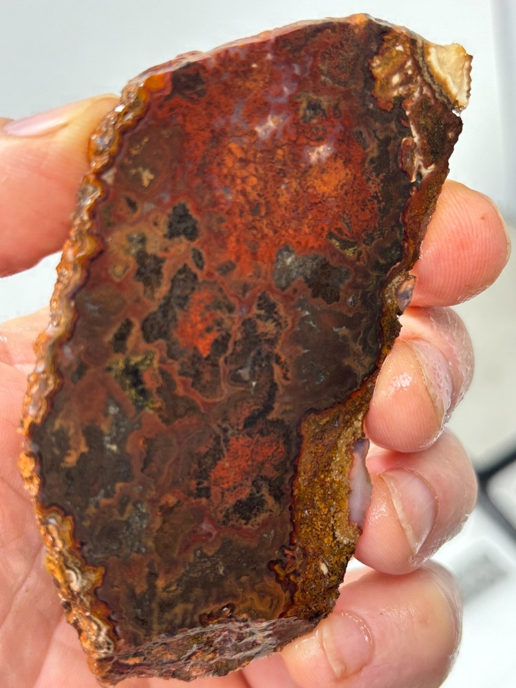 Thin Moss Agate Slab Cabbing Lapidary Carving Combo Ship Avail