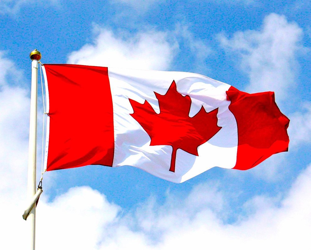 TRIGGERTECH Special / Remington 700 DROP-IN TRIGGER ASSEMBLY - BLACK