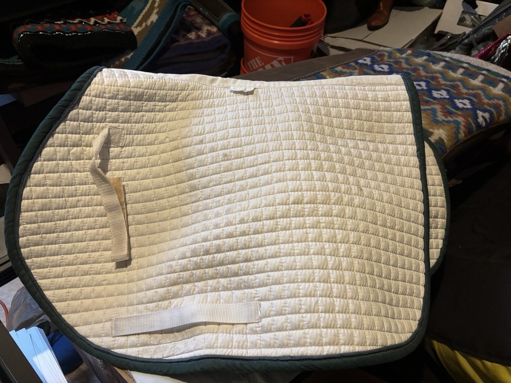 English Dressage Pad White