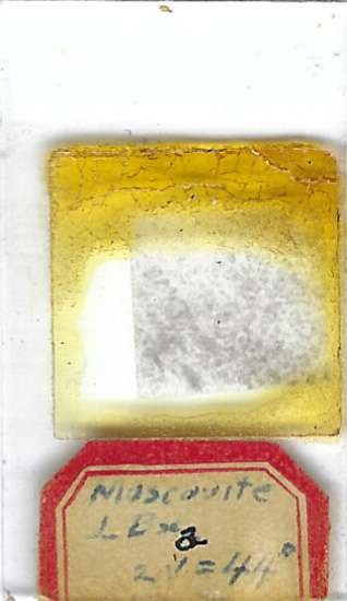 Muscovite ⟂ Bxa Petrographic Microscope Slide