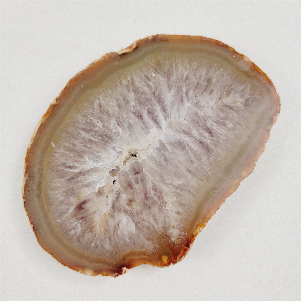 3 Cut Polished Agates Rocks Crystal Lapidary - Felt Backs