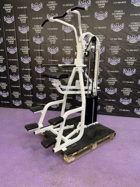 Nautilus Assisted & Body Weight Dip & Pull-up Combo Machine