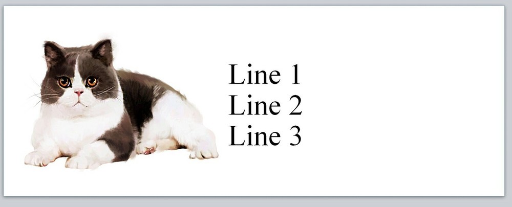 Personalized Address Labels Cute Pretty Cat (JX 452)