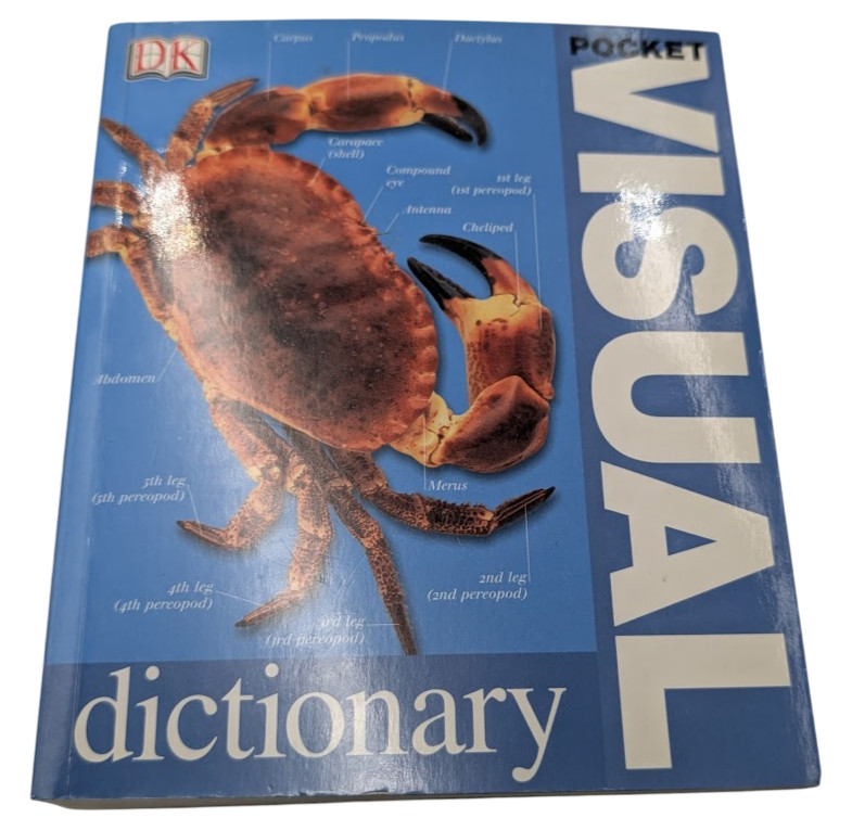 Pocket Visual Dictionary DK 2003 Art Encyclopedias Reference Illustrated Guide