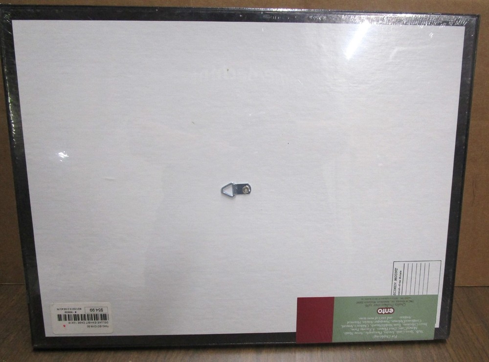 Ento wall hanging museum quality display case 12" x 16"