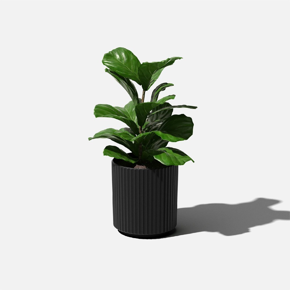 by Veradek Ripple 12' Planter Black