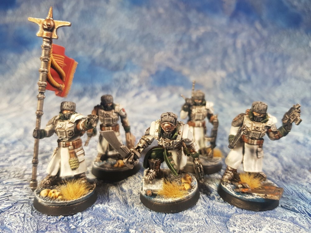 Ice Warriors Command Guard of the Imperial Force