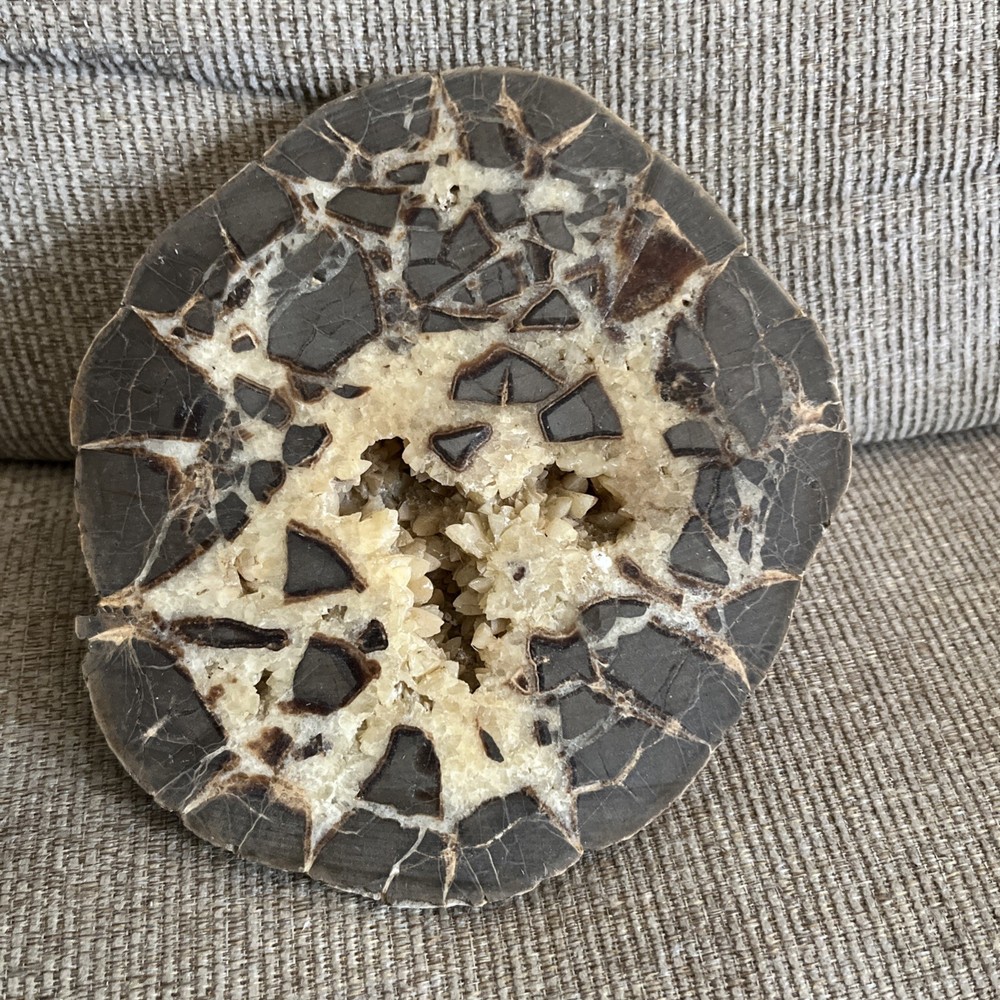 Larger Cut SEPTARIAN Nodule Half With a Lightning Like Pattern! Utah 2 Lbs