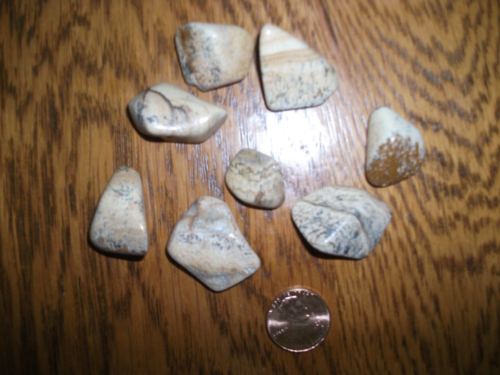 2pc Tumbled Picture Jasper for Creative Visualization Healing Immune System