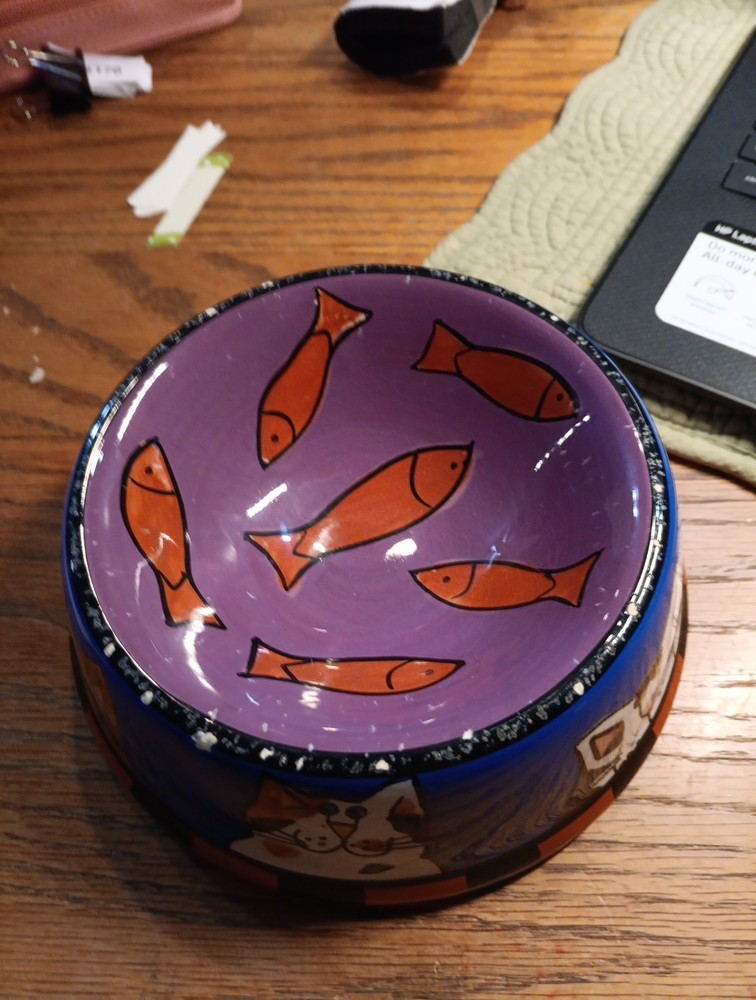 Catzilla Ceramic Cat Dish by Candice Reiter