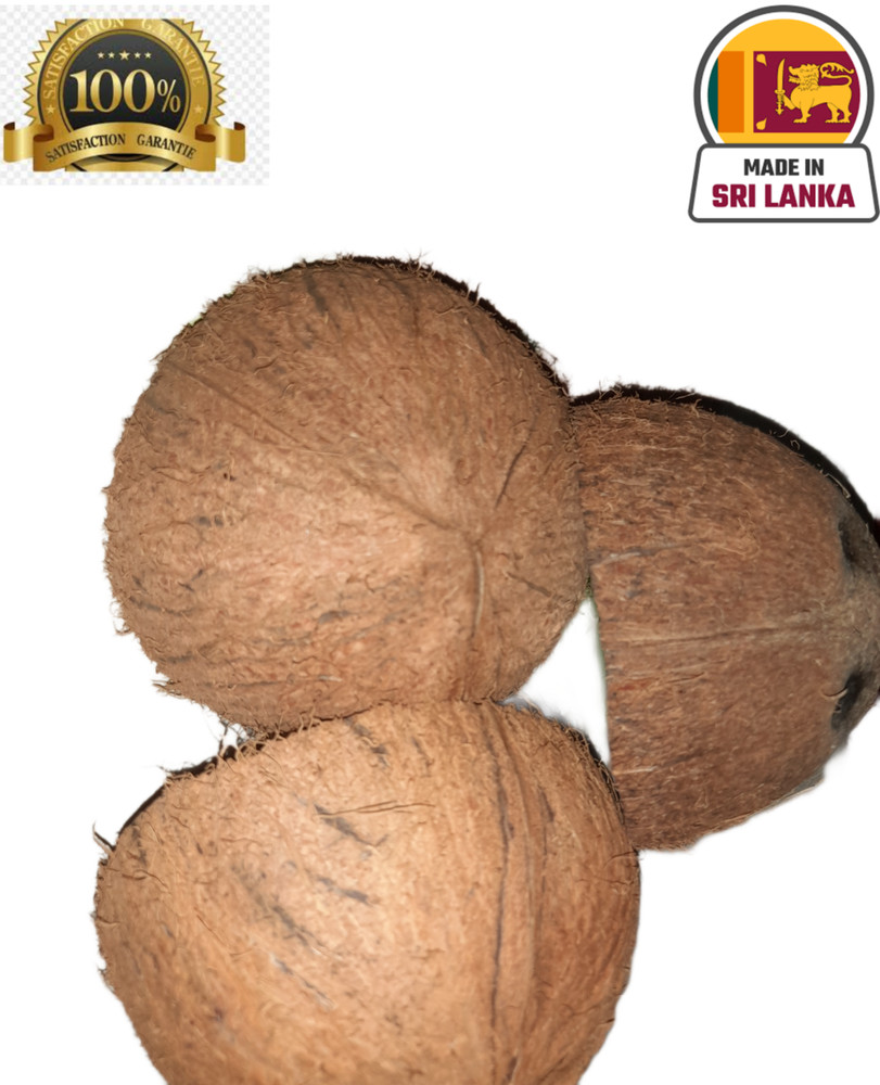 Coconut Shell Halves