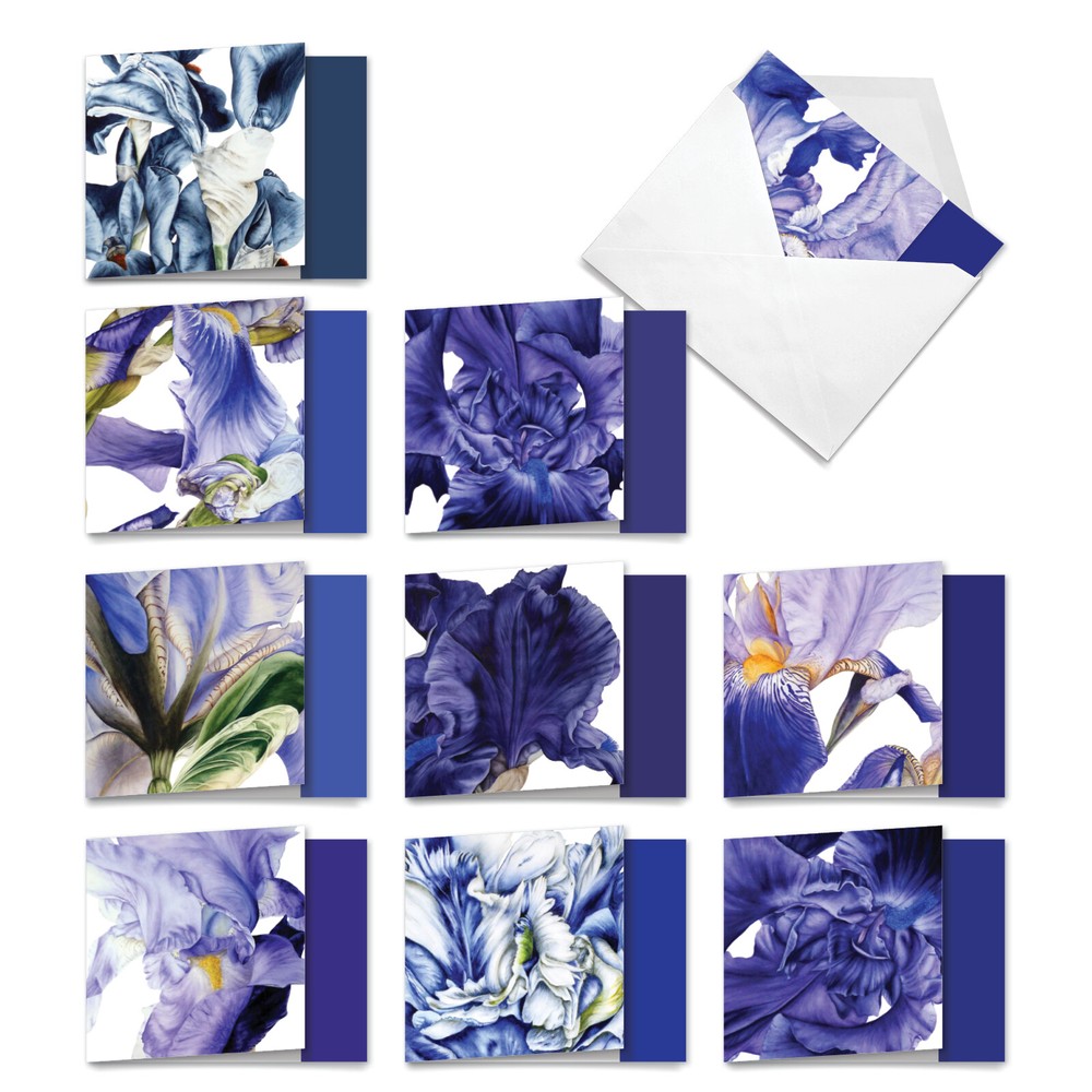 10 Assorted All Occasion Blank Note Cards Pack - Iridescent Iris