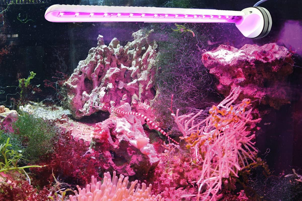 Eco Chic Refugium 8831