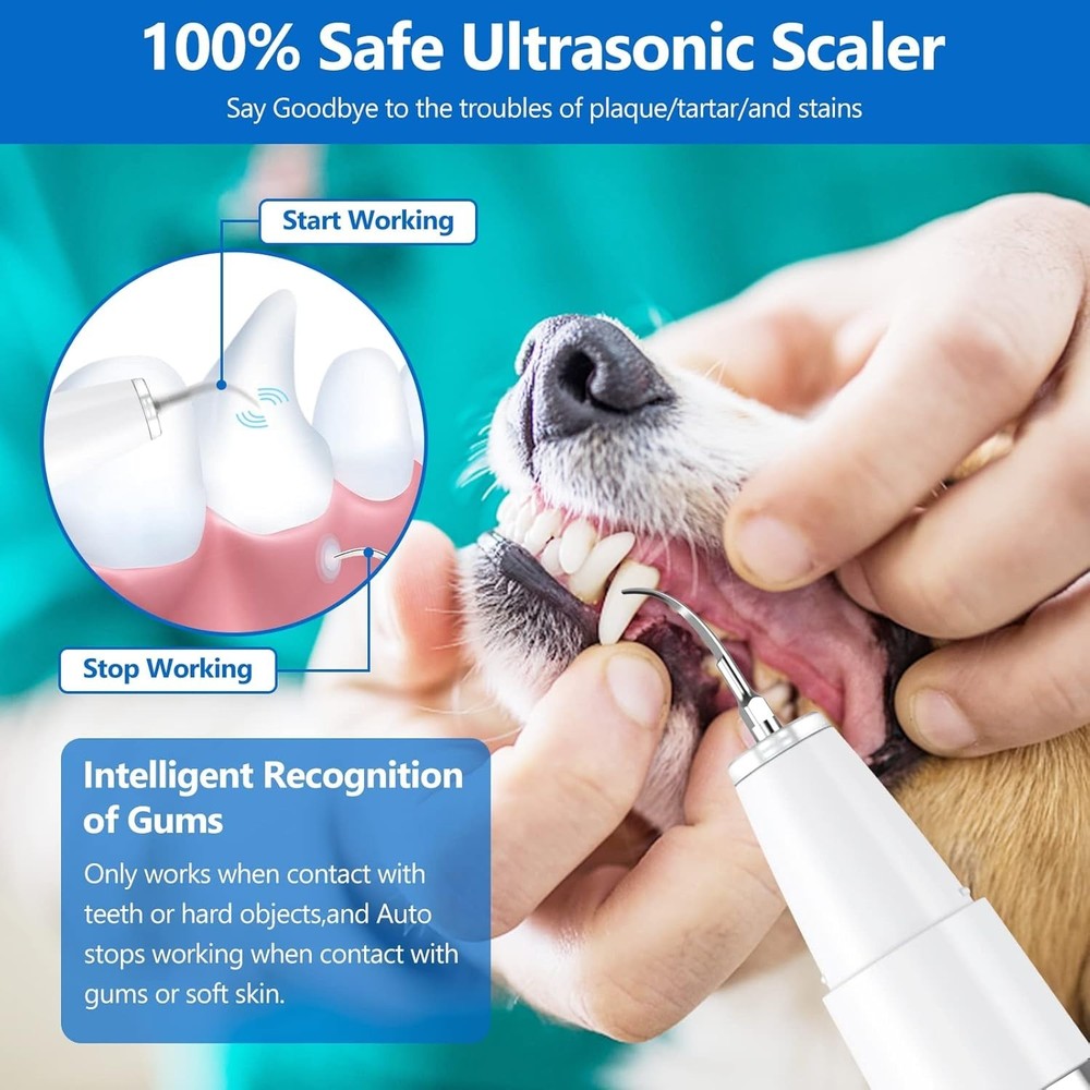 USB Rechargeable Pet Tooth Cleaner