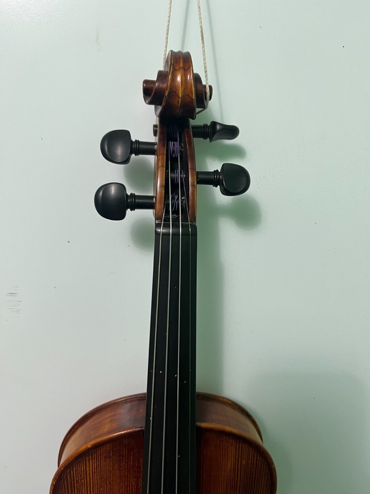 Violin 4/4 Stradivarius Model