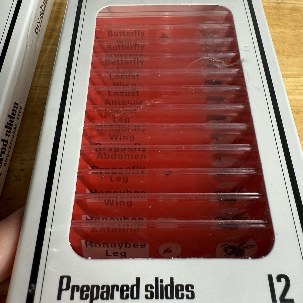 NEW (48) Lot Educational Type Prepared Microscope Slides - Plastic - DIY-Science