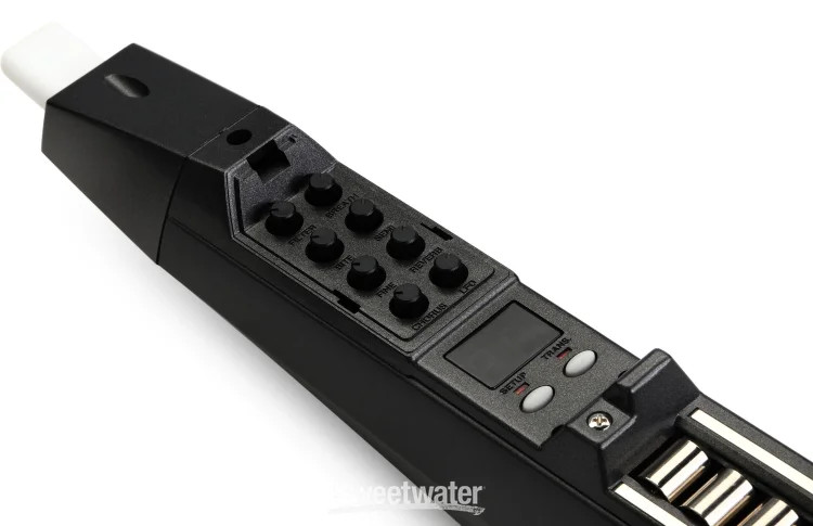 Akai Professional EWI 5000 Electronic Wind Instrument / MIDI Controller