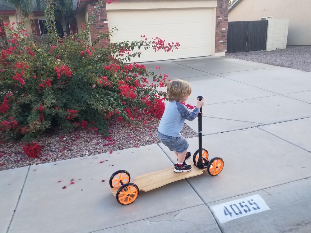 Removable Skateboard Handle - (Handle Only no Board Included) - Learn to Skat...