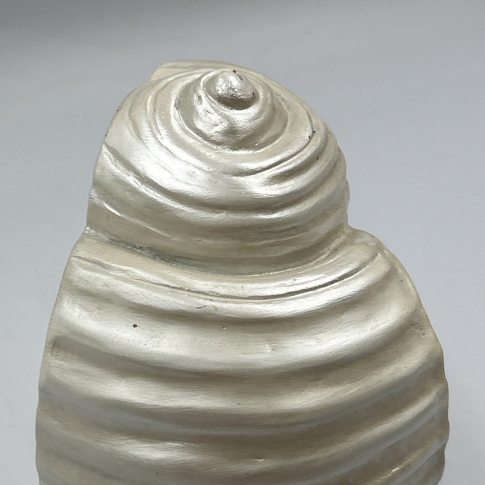 Iridescent White 6.75” Conch Shell Bookend Ceramic Single