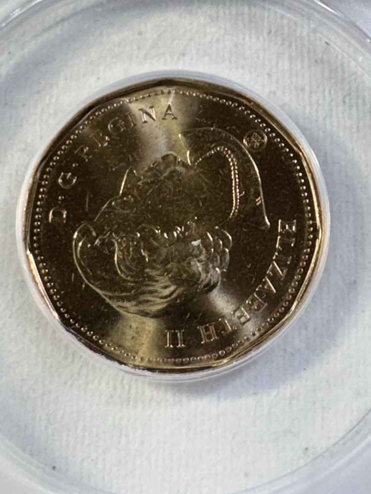 2012 Canada $1 Loonie Graded MS 66 by ANACS