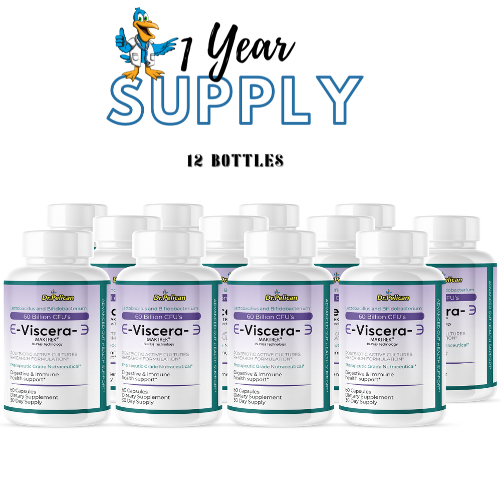 Viscera- Digestive Support- 12 Bottles- 720 Capsules