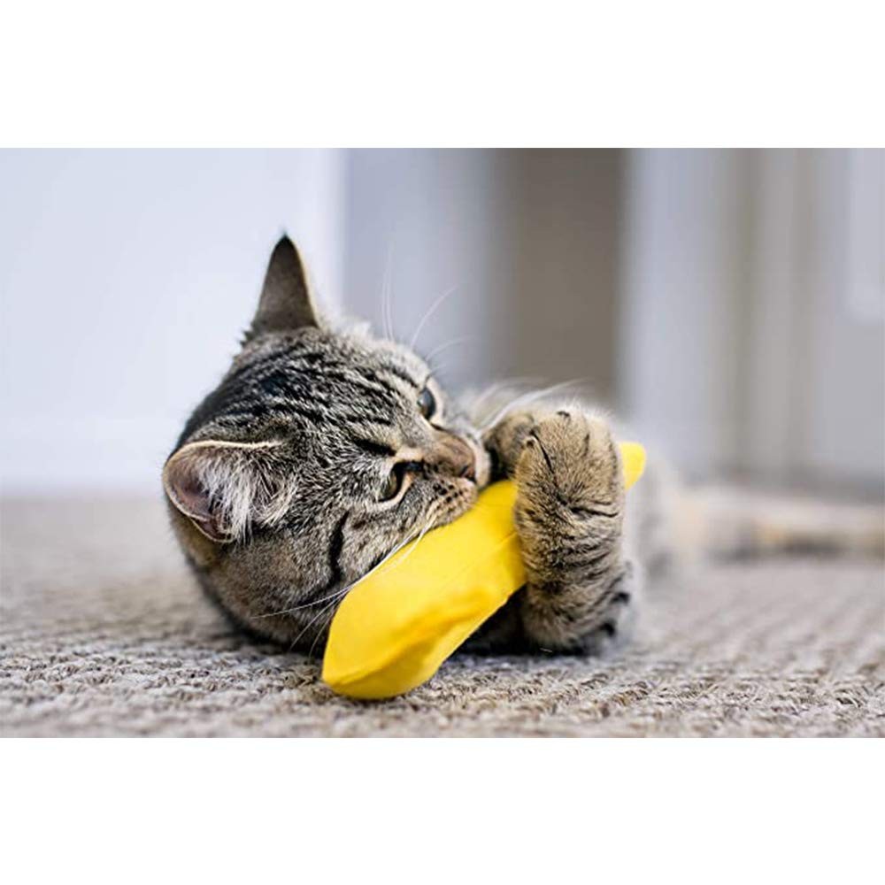 Yeowww! Catnip