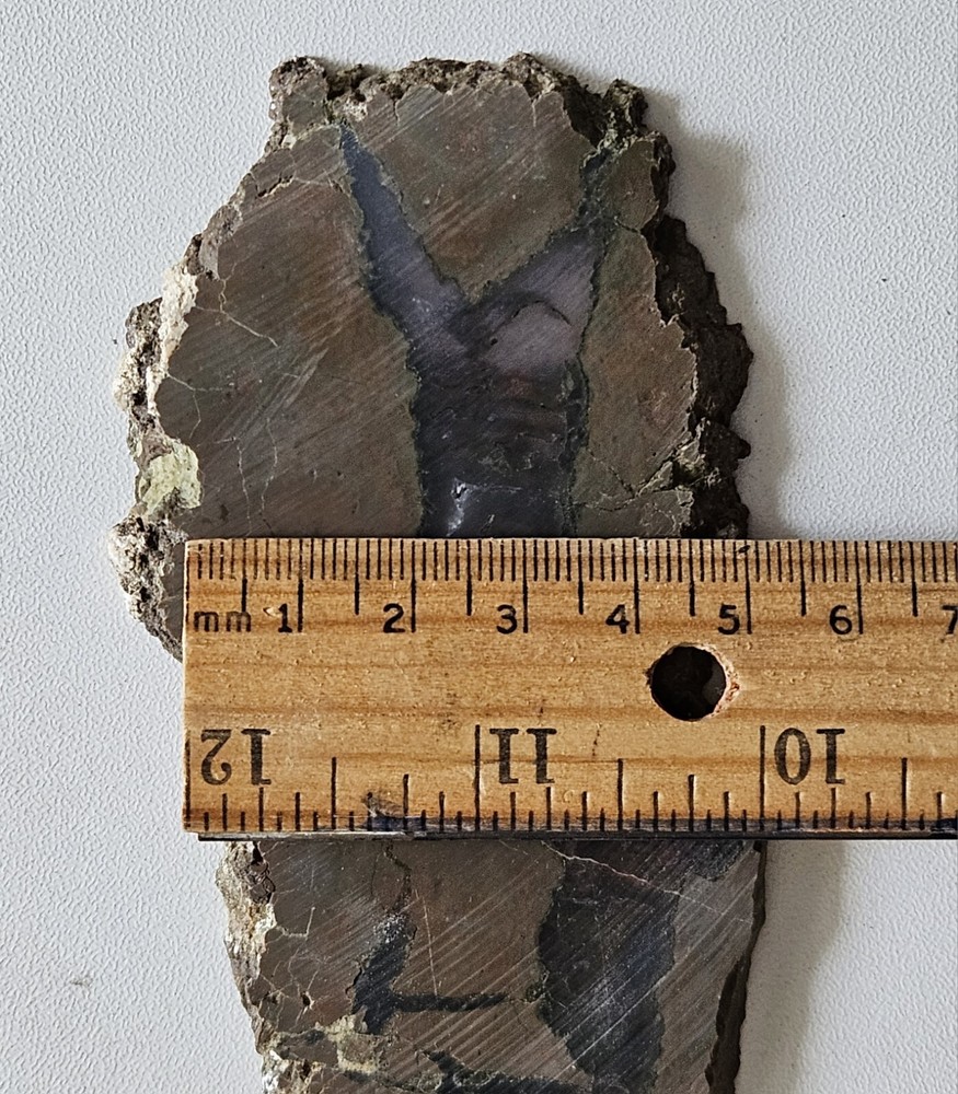 Priday moss Agate slab Unpolished Oregon 70 Grams