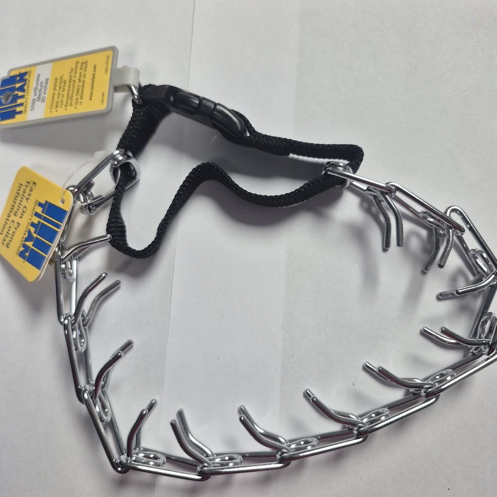 Titan Prong Training Collar 5592 w/Buckle Medium 20" Silver