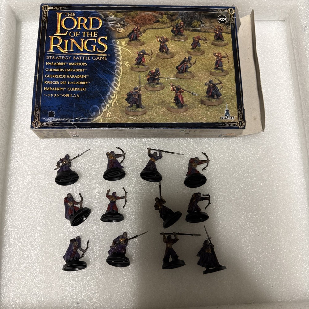 LOTR Warhammer Haradrim Warriors with box