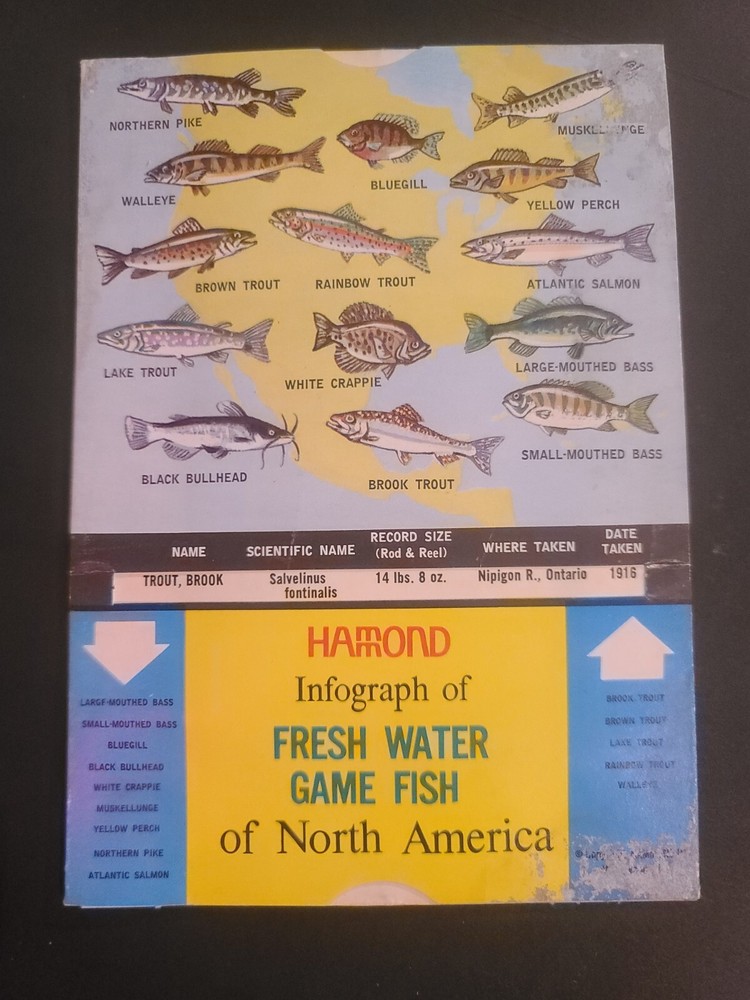 Vintage Hammonds Freshwater Game Fish & Big Game Animals Infograph