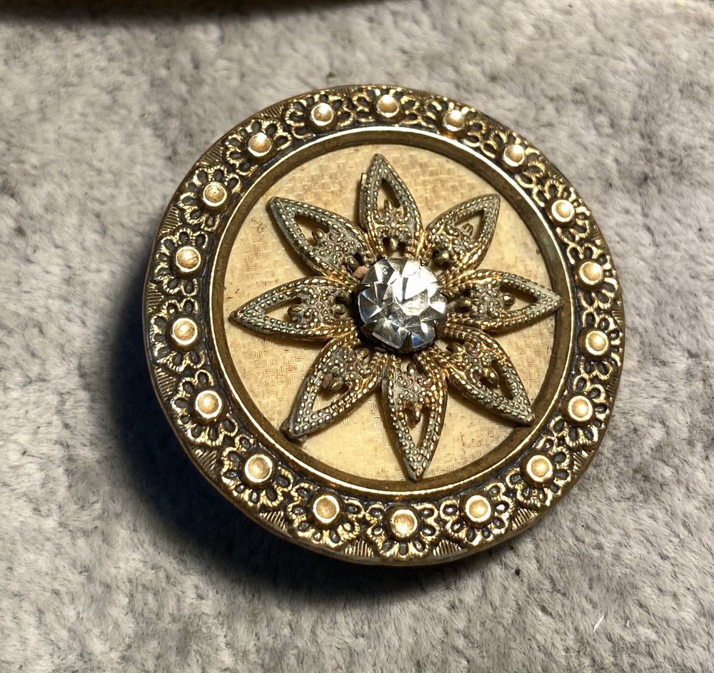 Victorian Unique Celluloid  Antique Button 1-3/8” Diameter