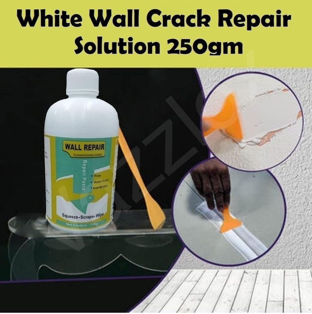 Wall Crack Repair Paste 250 Gram