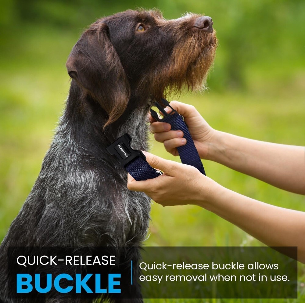 Nylon E Collar Replacement Strap - Shock Collar Replacement Collar Red