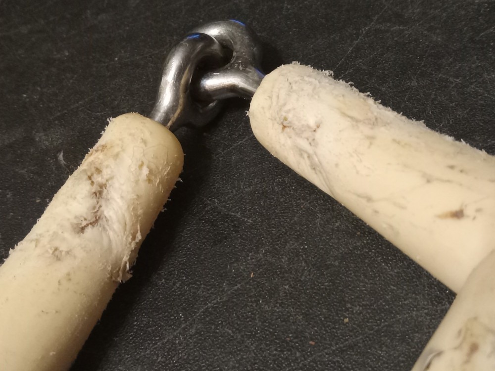 used D-ring snaffle bit 5 in mouth happy mouth