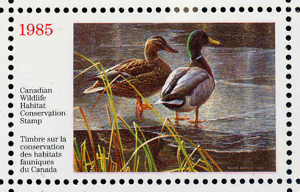 CANADA 1985 DUCK STAMP MINT IN FOLDER AS ISSUED MALLARDS by Robert Bateman