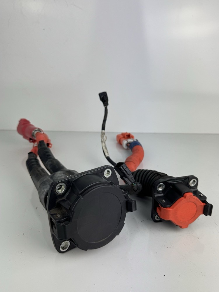 2011-2012 Nissan Leaf Charging Port Cables