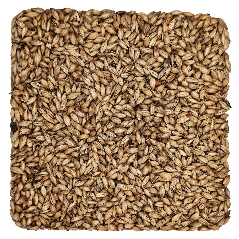 Home Brew Ohio CaraRed Grain 1lb