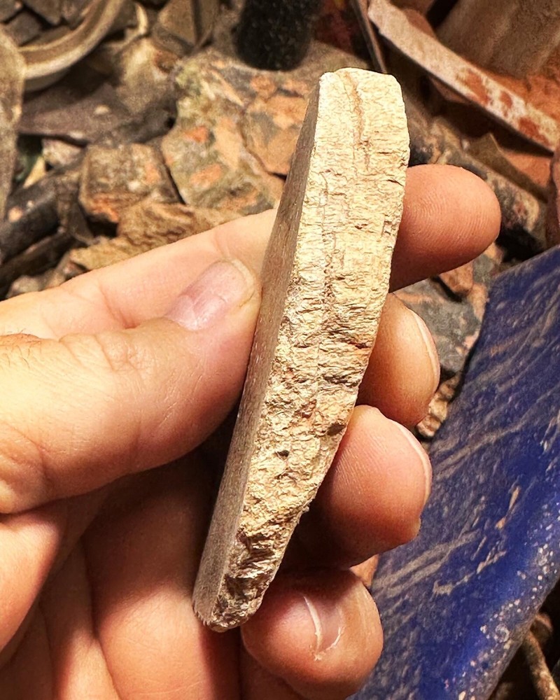 Dinosaur bone rough end cut.