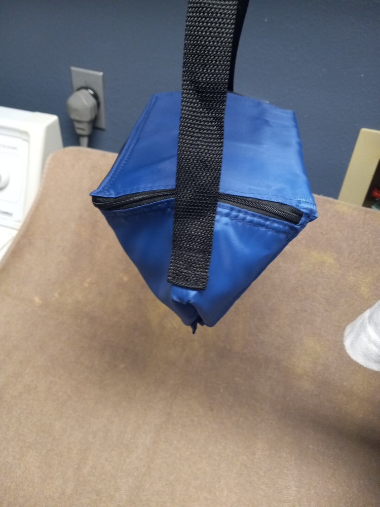 Blue - CARISK PARTNERS - Lunch Bag NEW