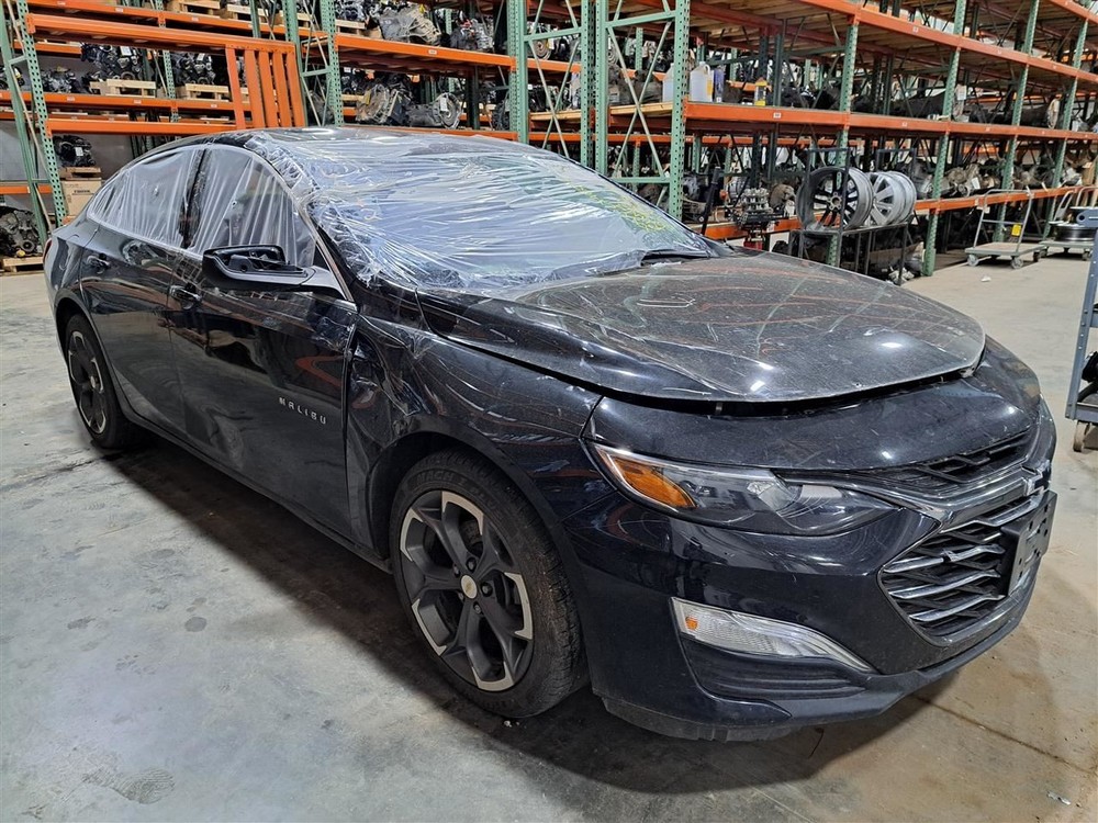 2019 Malibu Jack Sku#4275468