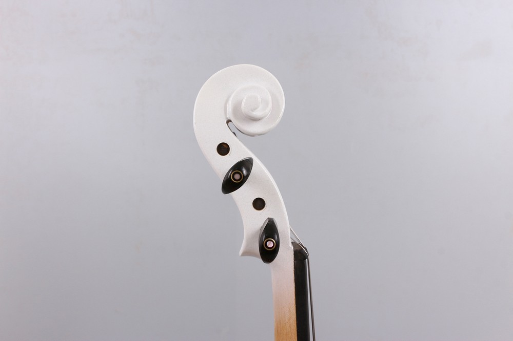 4 String Electric Viola Advanced Silent Viola16 Inch 4/4Size With Solid Wood,