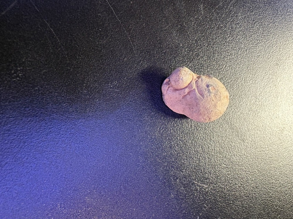 Dug Civil War Relic