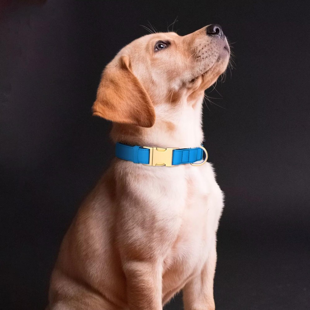 Soft Padded Dog Collars for Medium Dogs Adjustable Quick Released Dog Collar ...