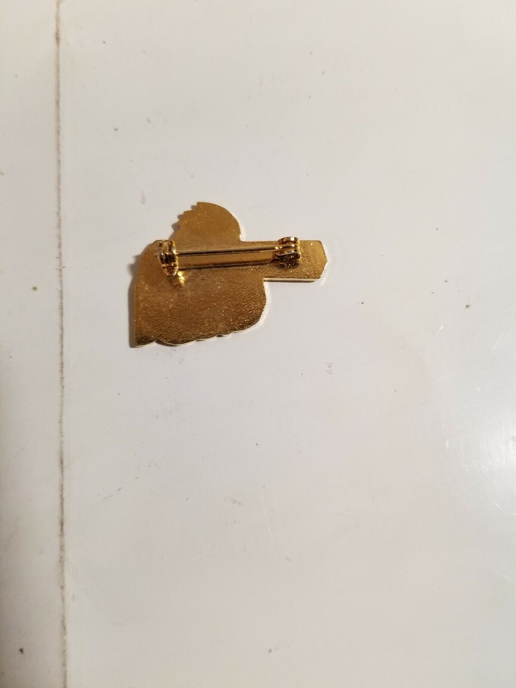 Vintage Oklahoma Jaycees Indian Pin