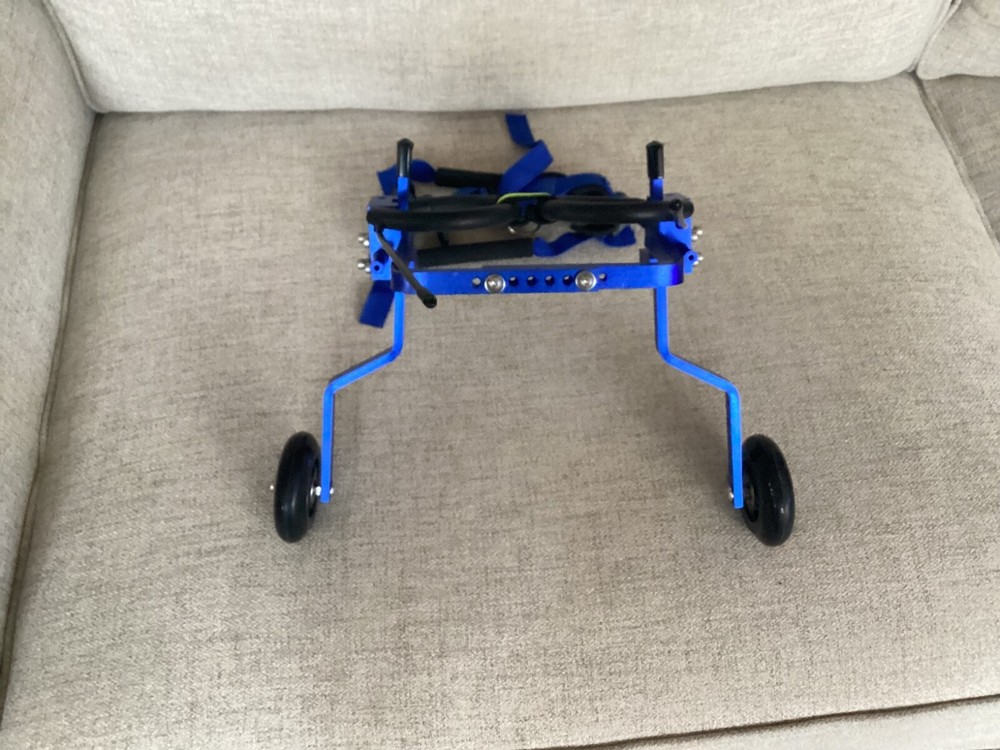 Small Dog & Cat Adjustable Walking Wheels