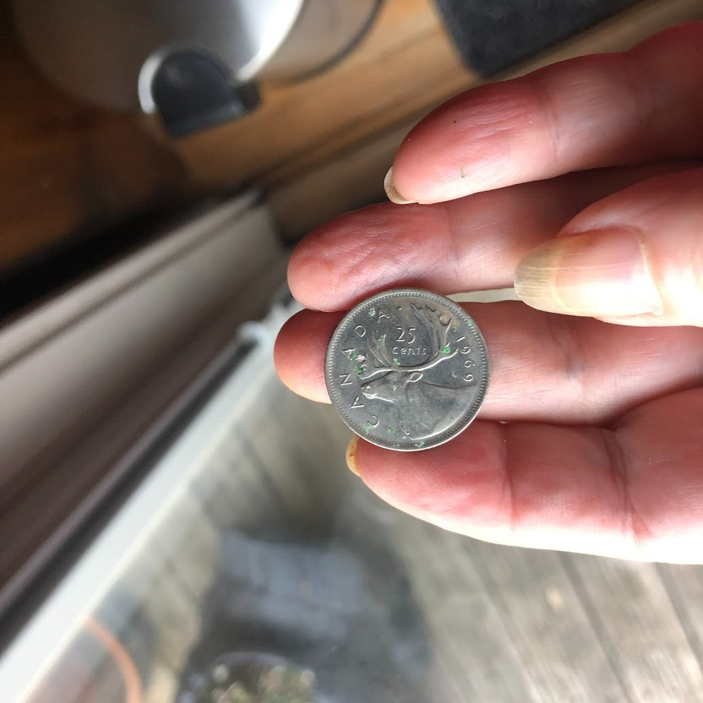 1969 CANADA 25 CENTS ELIZABETH 11