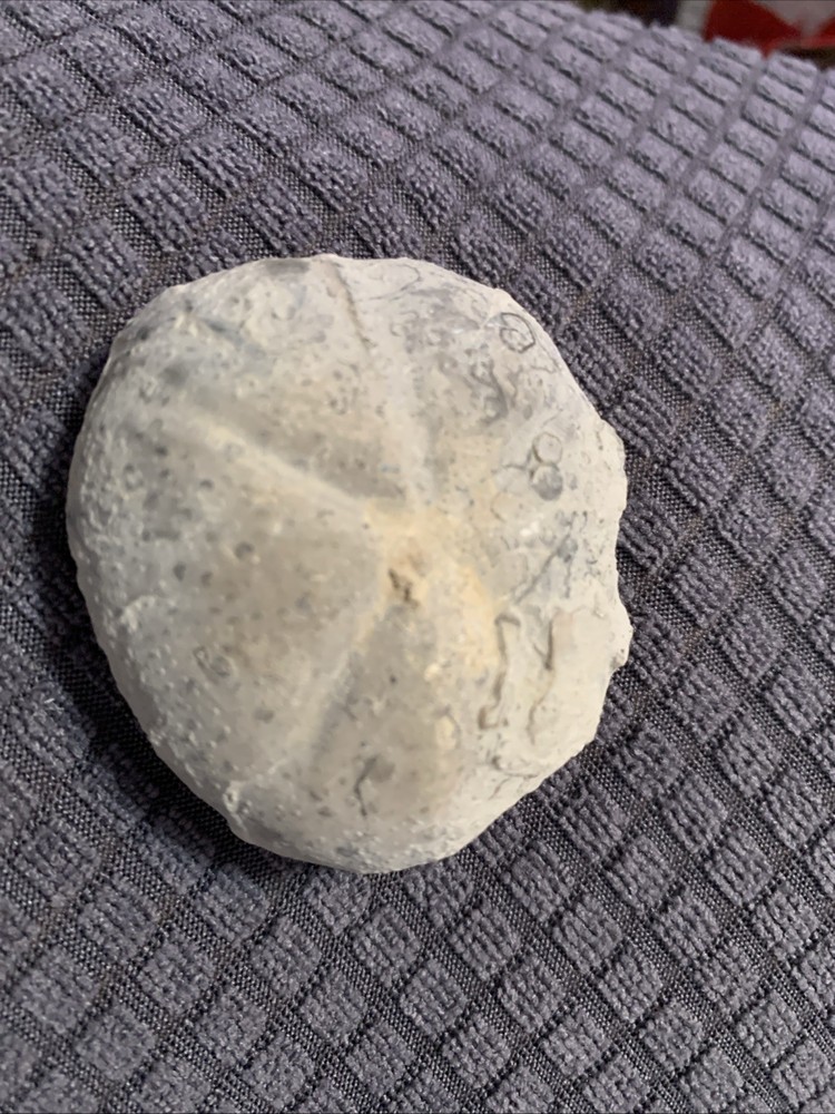 Rock